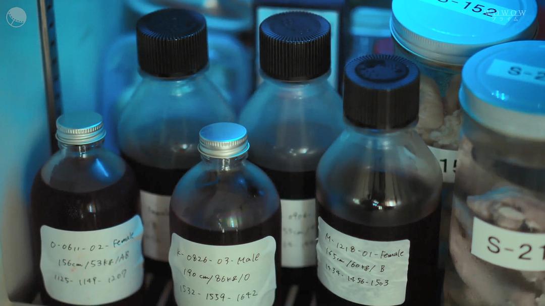 《蝶之力学杀人分析班》剧照第56张图片