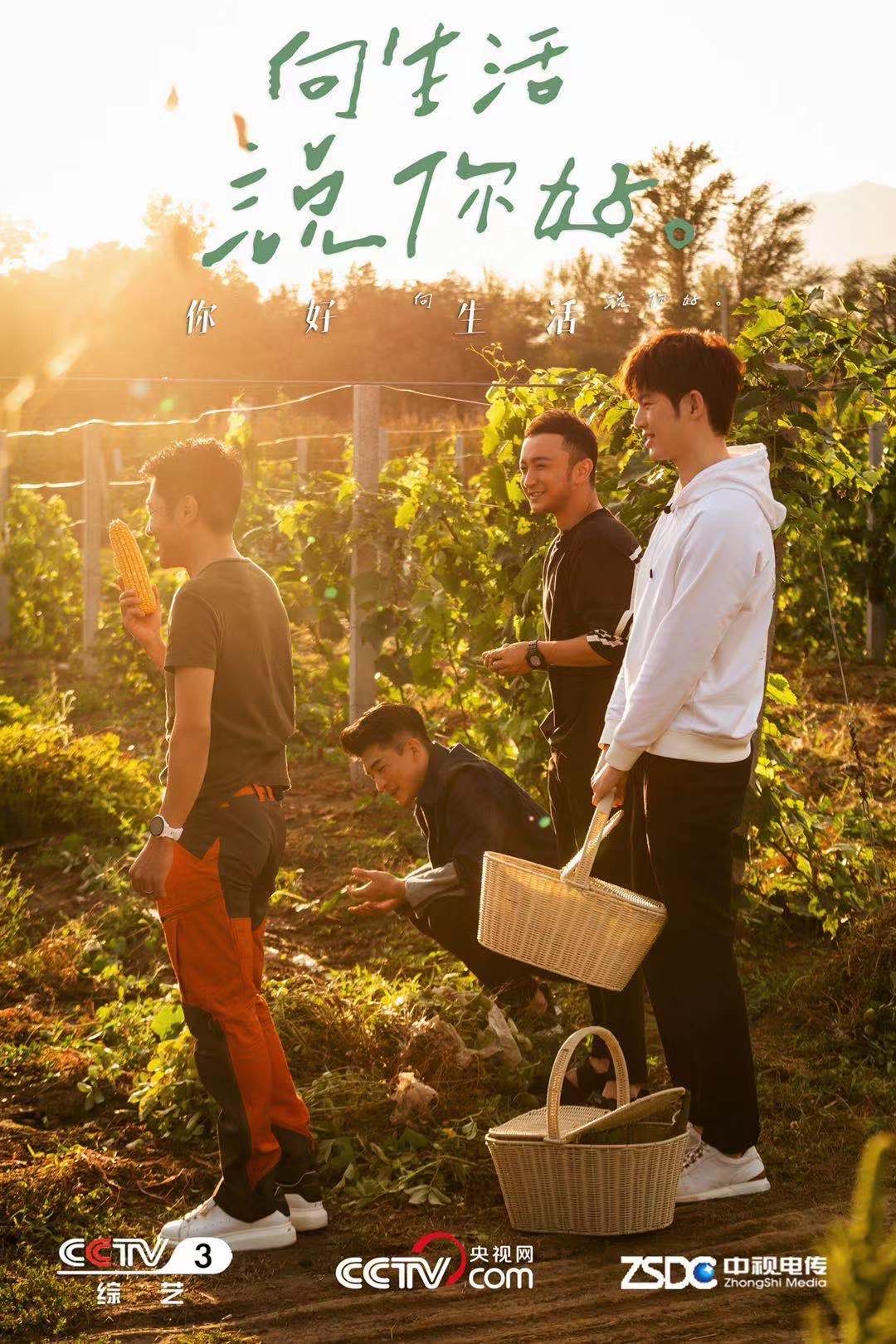 《你好生活》海报第36张图片