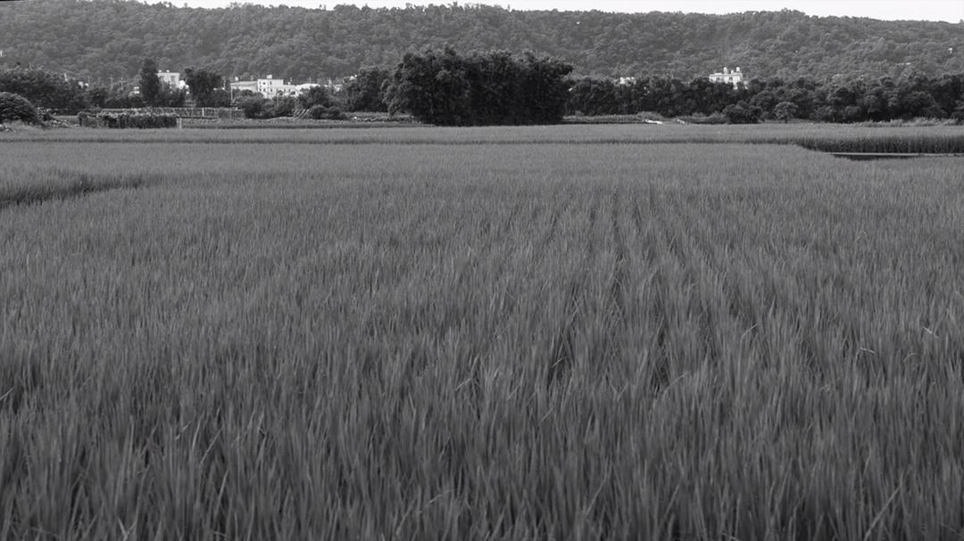 《大佛普拉斯》剧照第53张图片