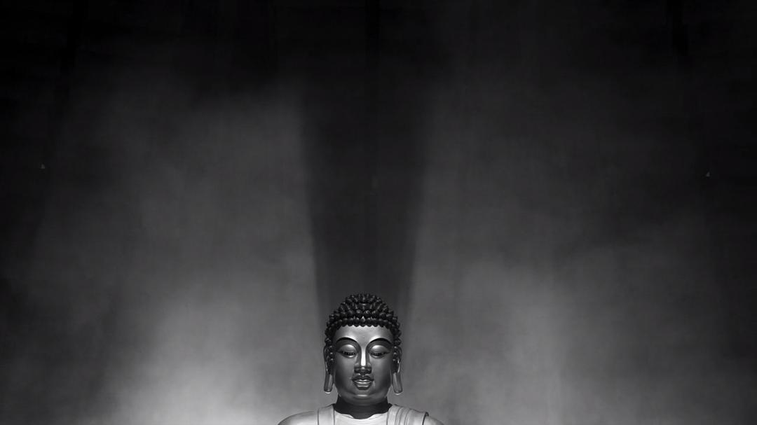 《大佛普拉斯》剧照第42张图片