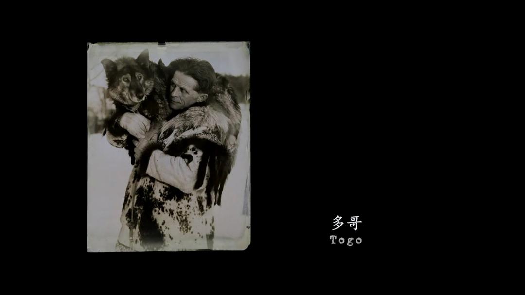 《多哥》海报第53张图片