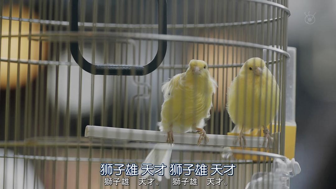 《夏洛克：未叙之章特别篇》海报第27张图片