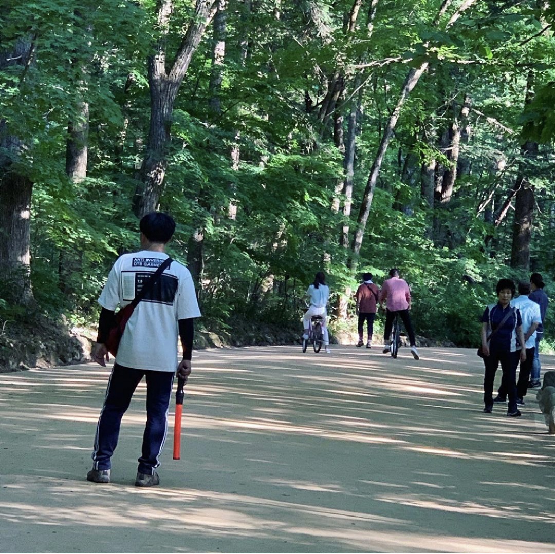 《森林》剧照第42张图片