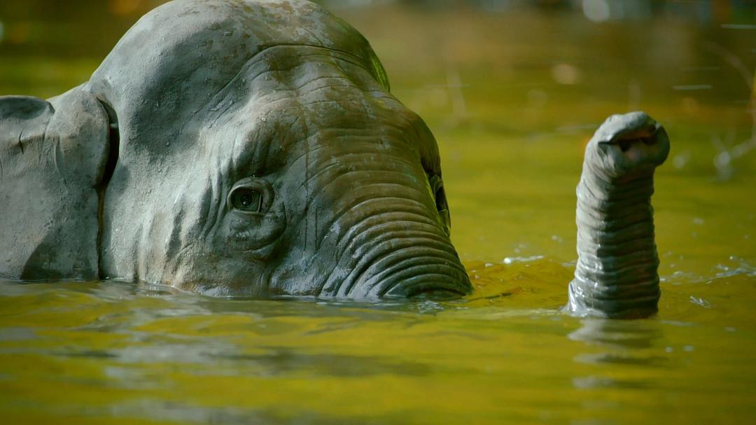 《荒野间谍第二季》剧照第45张图片