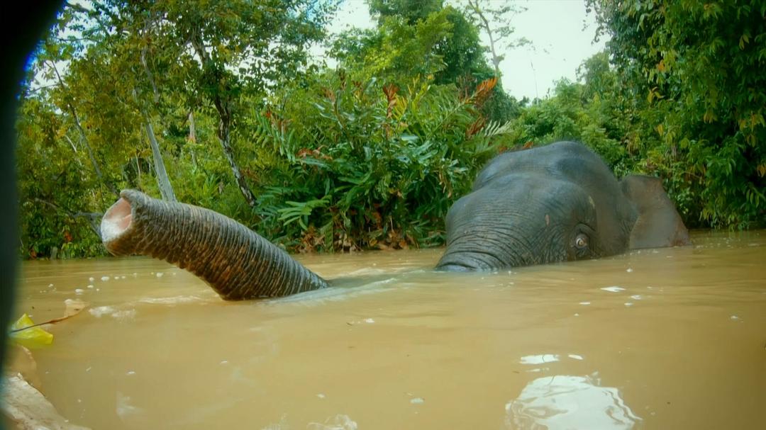《荒野间谍第二季》剧照第44张图片
