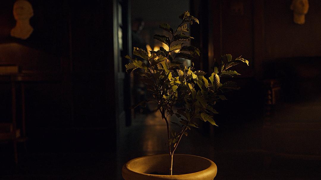 《美国众神第二季》剧照第49张图片