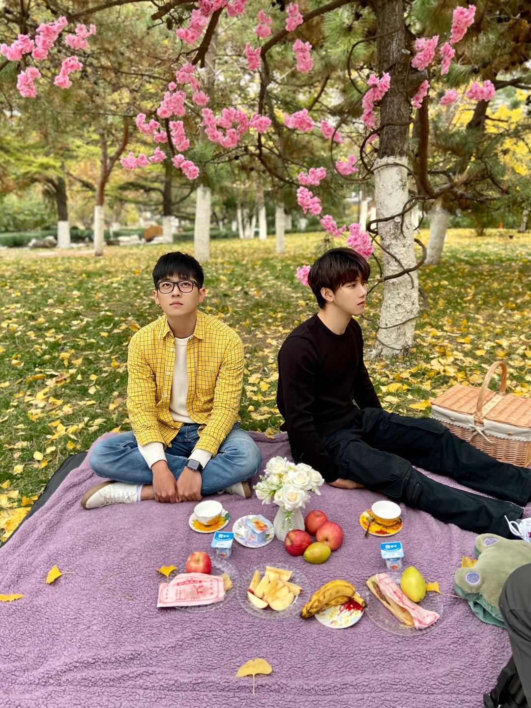 《我们才不是兄弟呢》海报