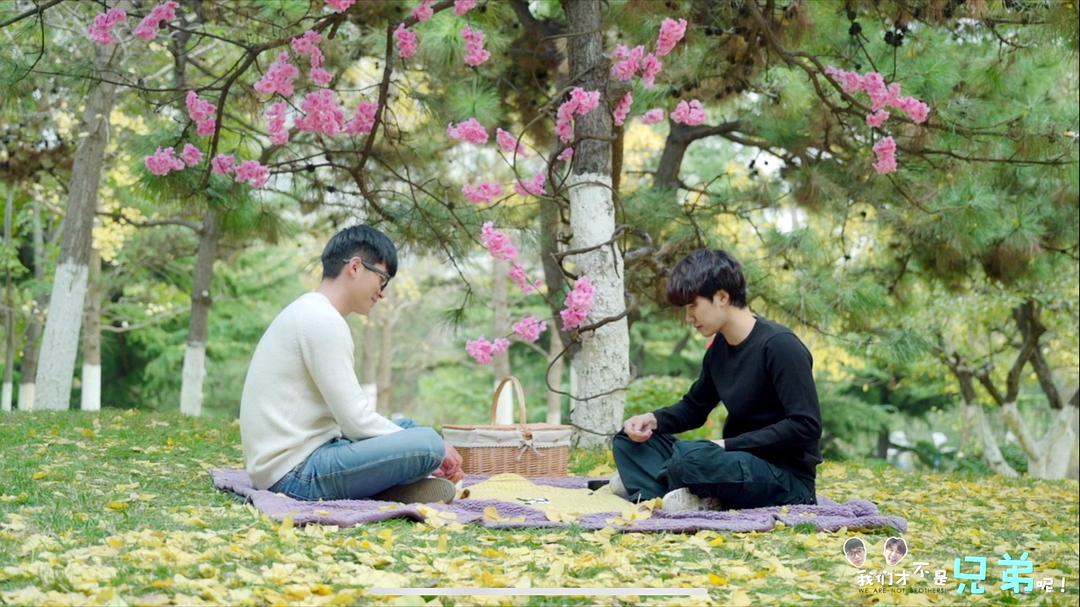 《我们才不是兄弟呢》海报