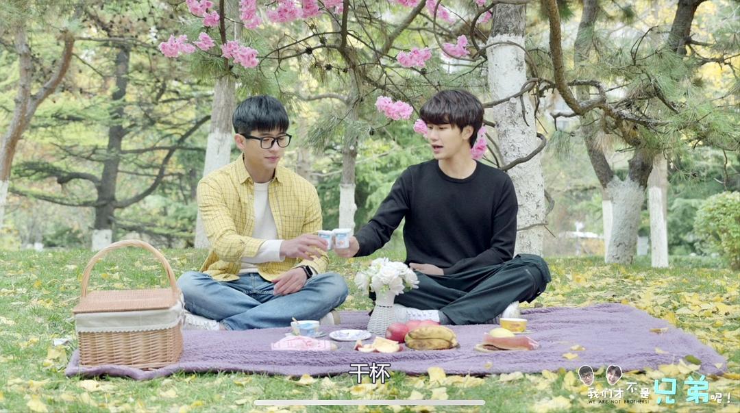 《我们才不是兄弟呢》海报