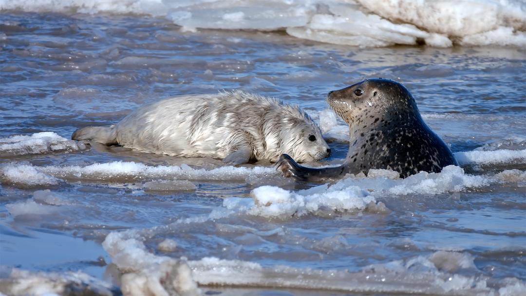《蔚蓝之境》剧照