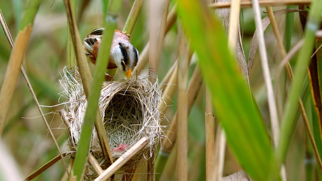 《蔚蓝之境》剧照