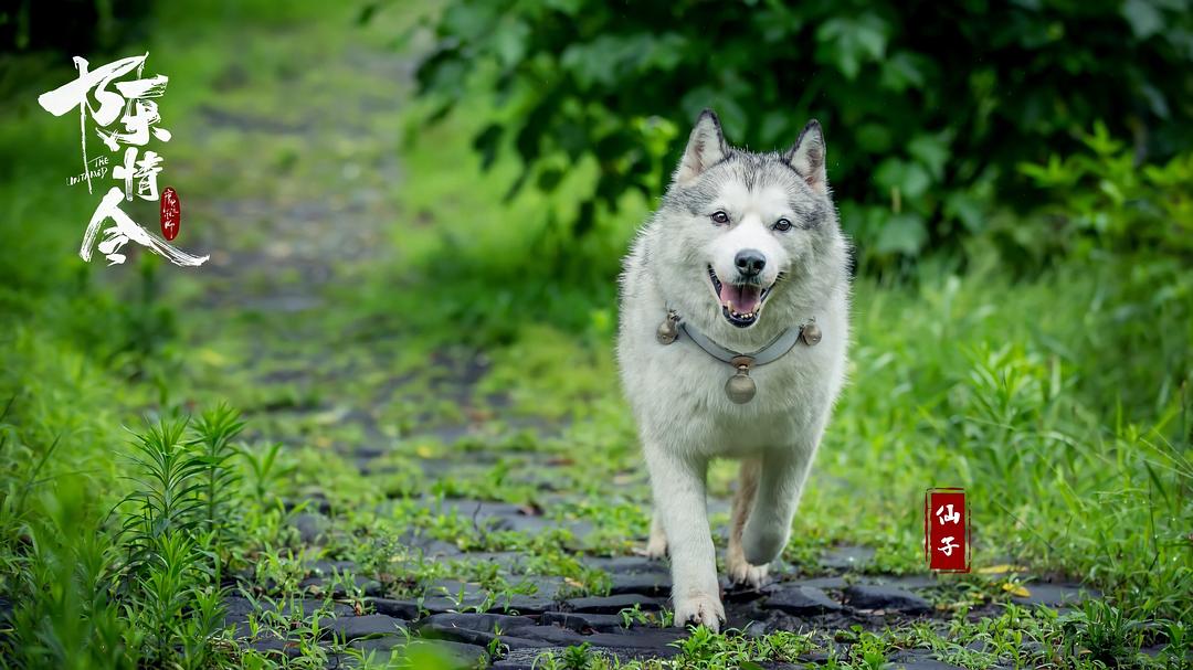 《陈情令》剧照第16张图片