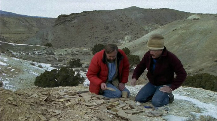 《地球的故事》海报