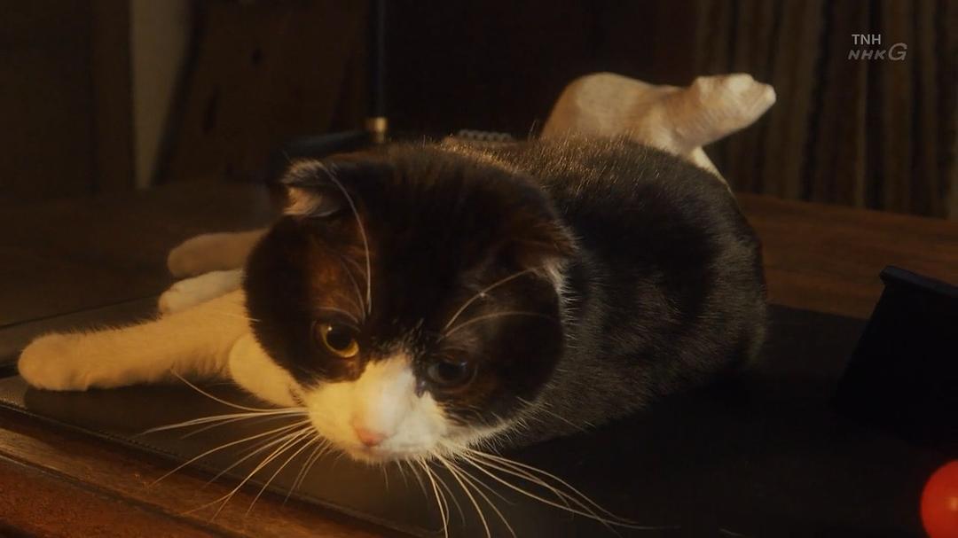 《叶村晶：世界上最不幸的侦探》剧照第39张图片