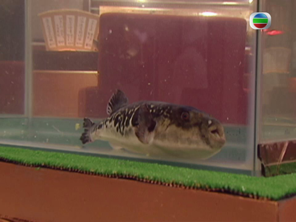 《和味浓情》剧照第33张图片