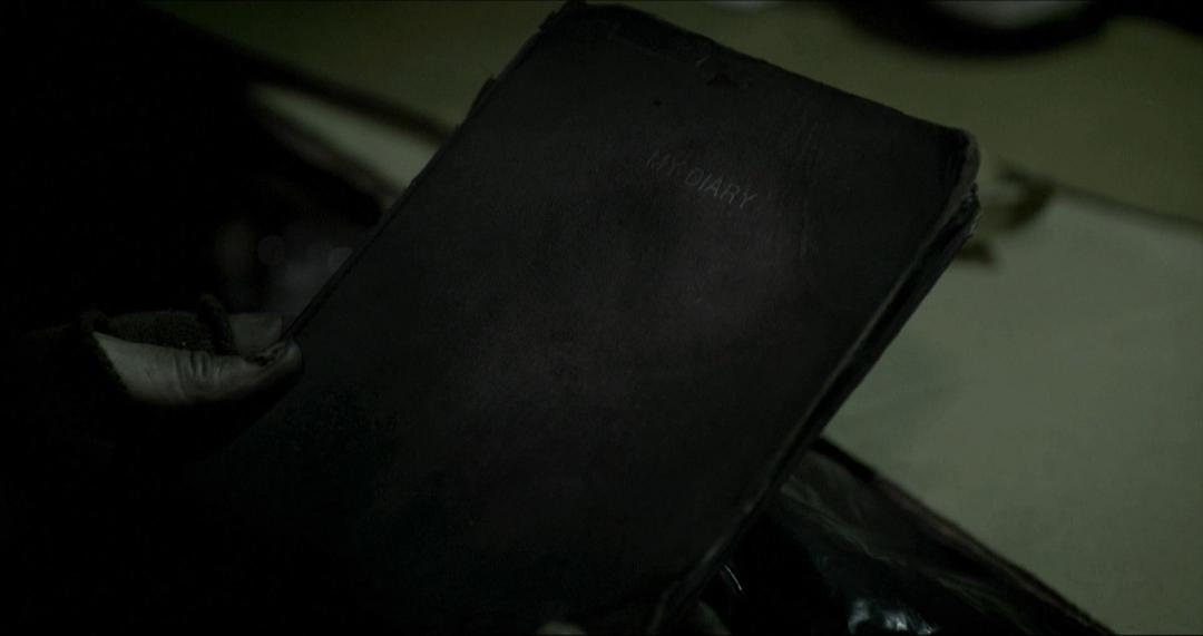 一本无意中捡到的日记