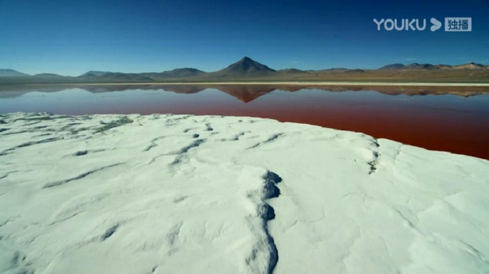 《秘境星球》剧照第3张图片