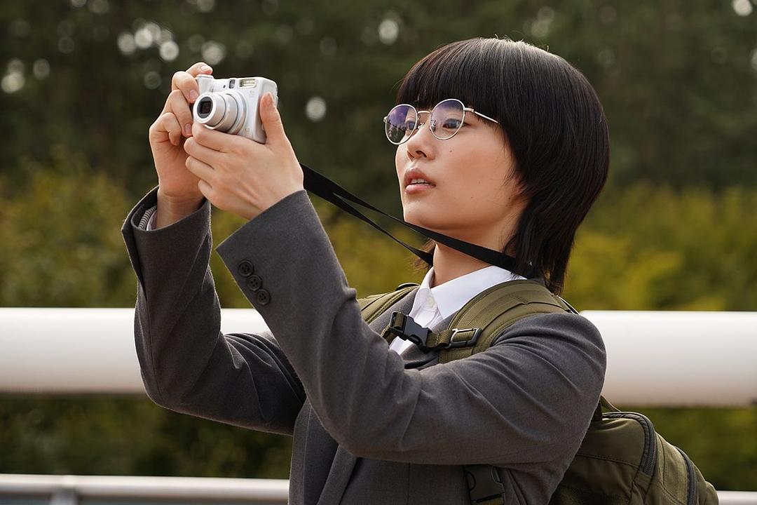 《同期的小樱》海报第11张图片