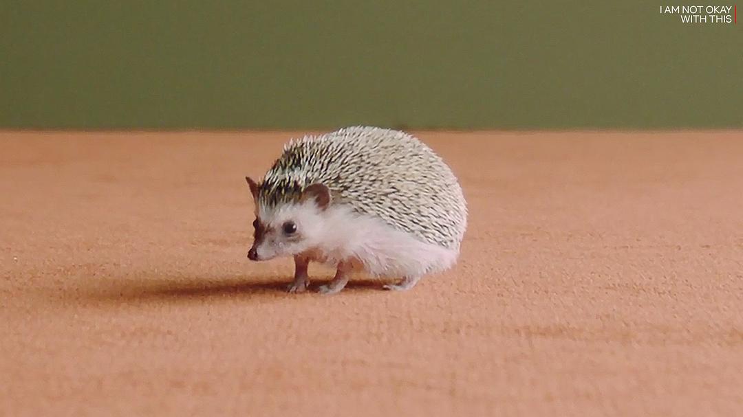 《非我所愿》海报第22张图片