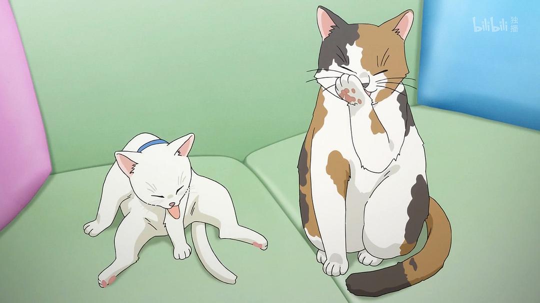 《青春期猪头少年不做怀梦少女的梦》剧照第25张图片