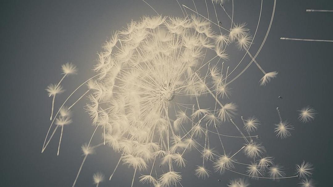 《西部世界第三季》海报第44张图片