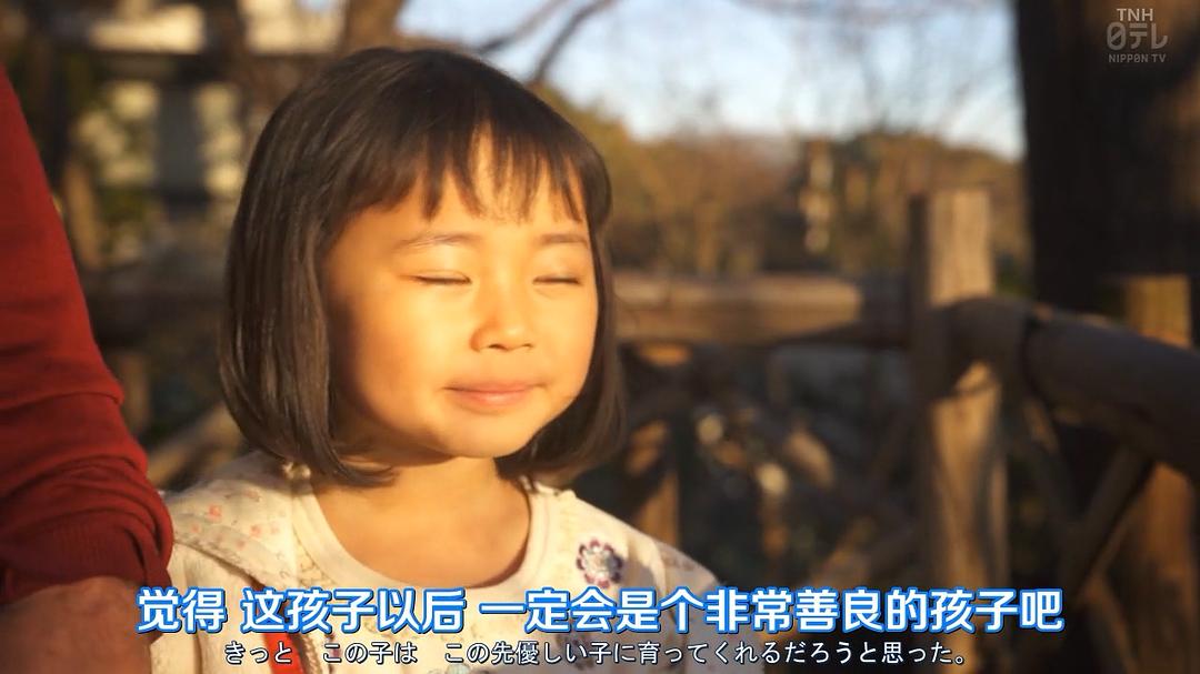 《午餐联谊侦探：恋爱与美食与解谜》海报第50张图片