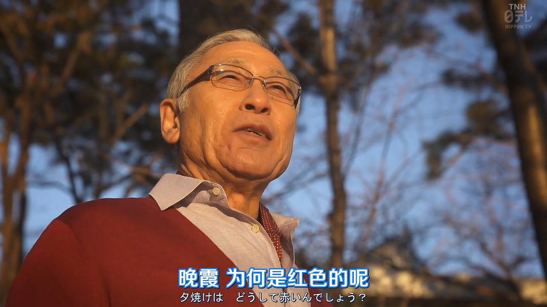 《午餐联谊侦探：恋爱与美食与解谜》海报第49张图片