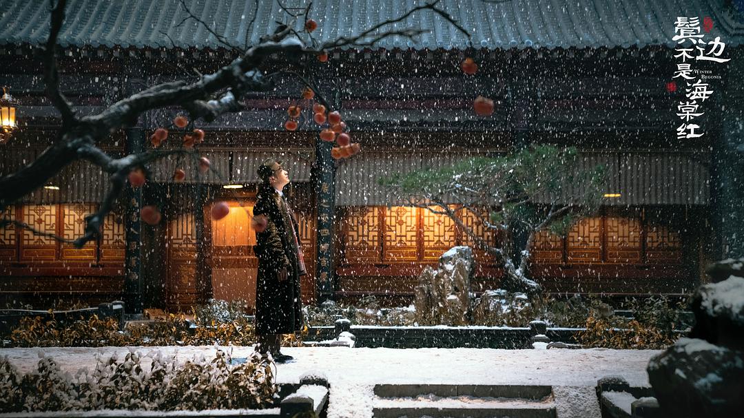 《鬓边不是海棠红》剧照第11张图片