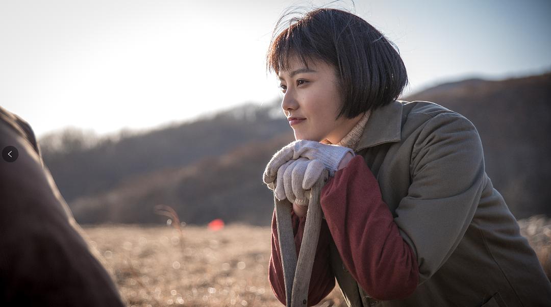 《远方的山楂树》剧照