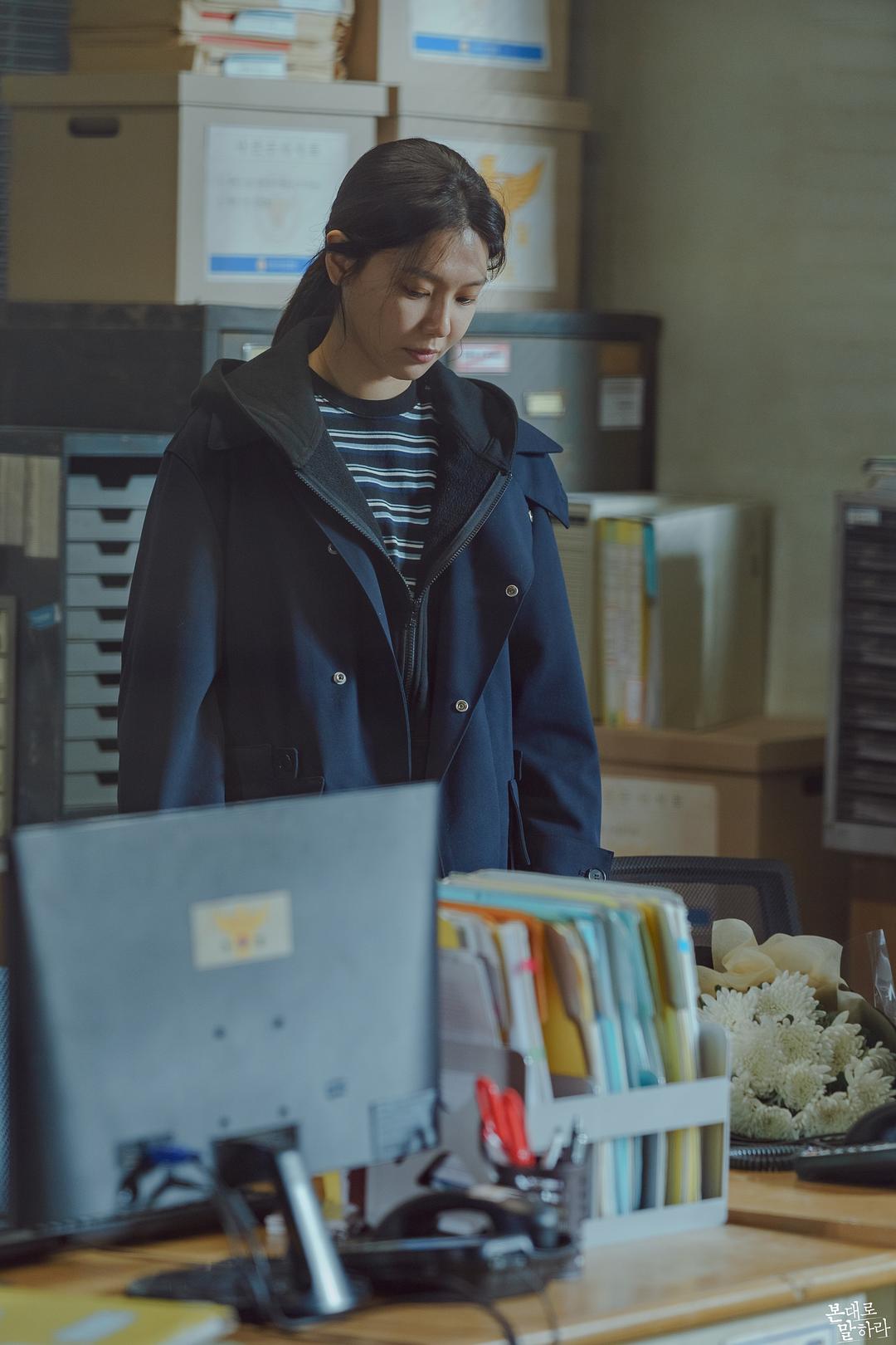 《如实陈述》海报第58张图片