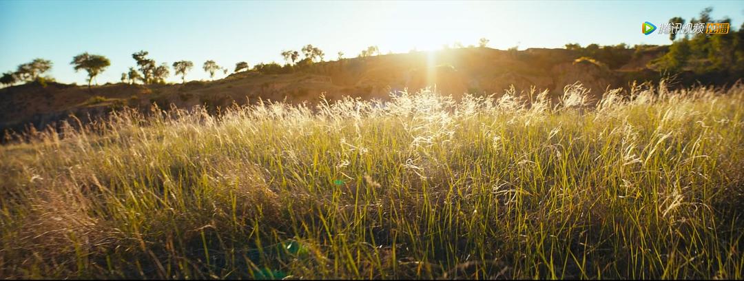 《龙岭迷窟》剧照第57张图片