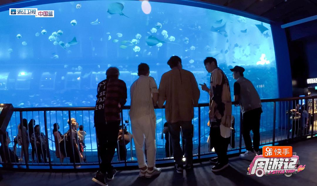 《周游记》海报第42张图片