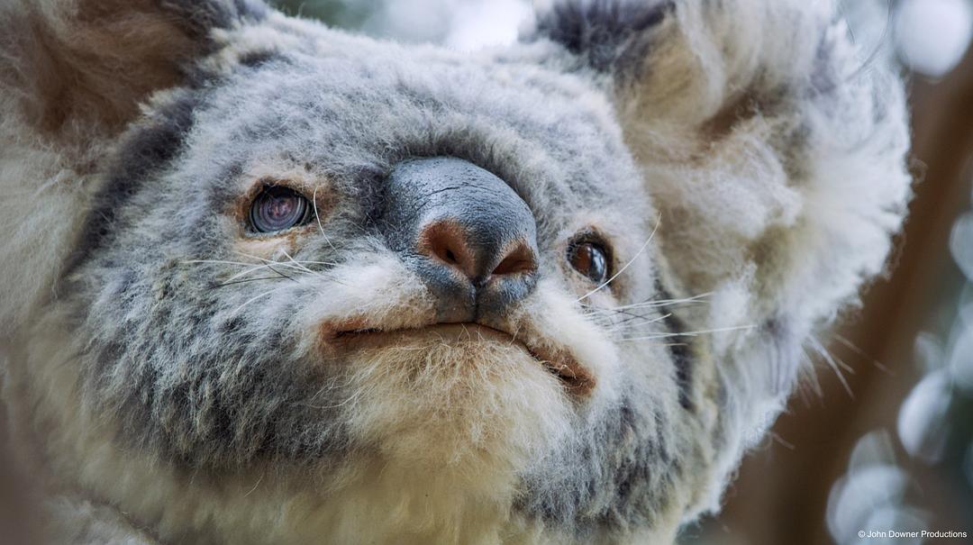 《荒野间谍第二季》剧照第11张图片