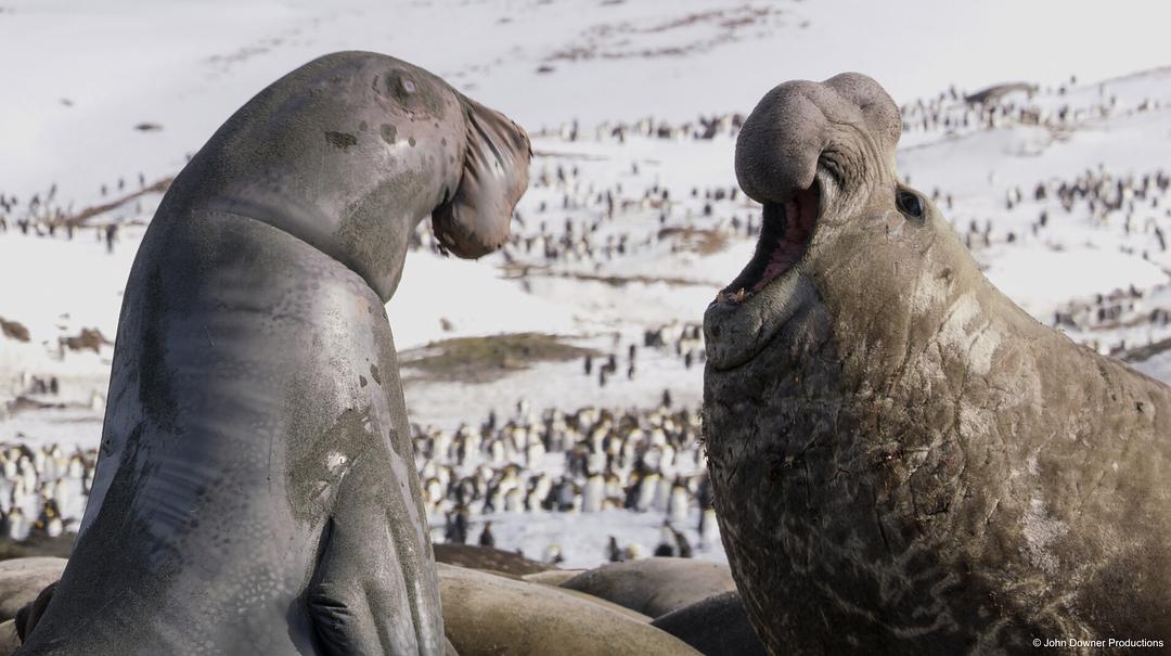 《荒野间谍第二季》剧照