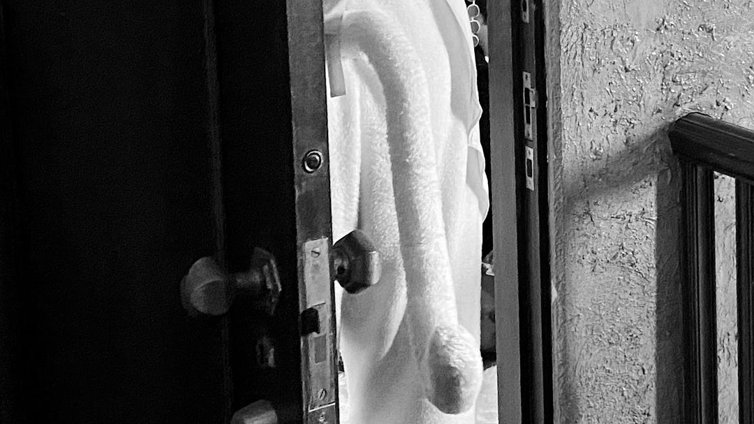 《今日的猫村小姐》海报第35张图片