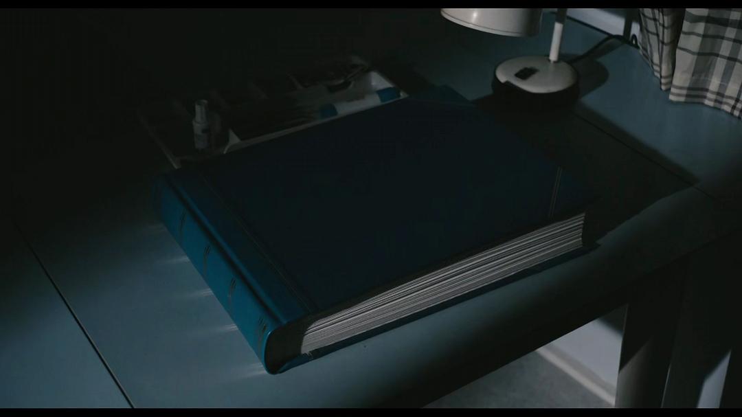 《寂静人生》海报第19张图片