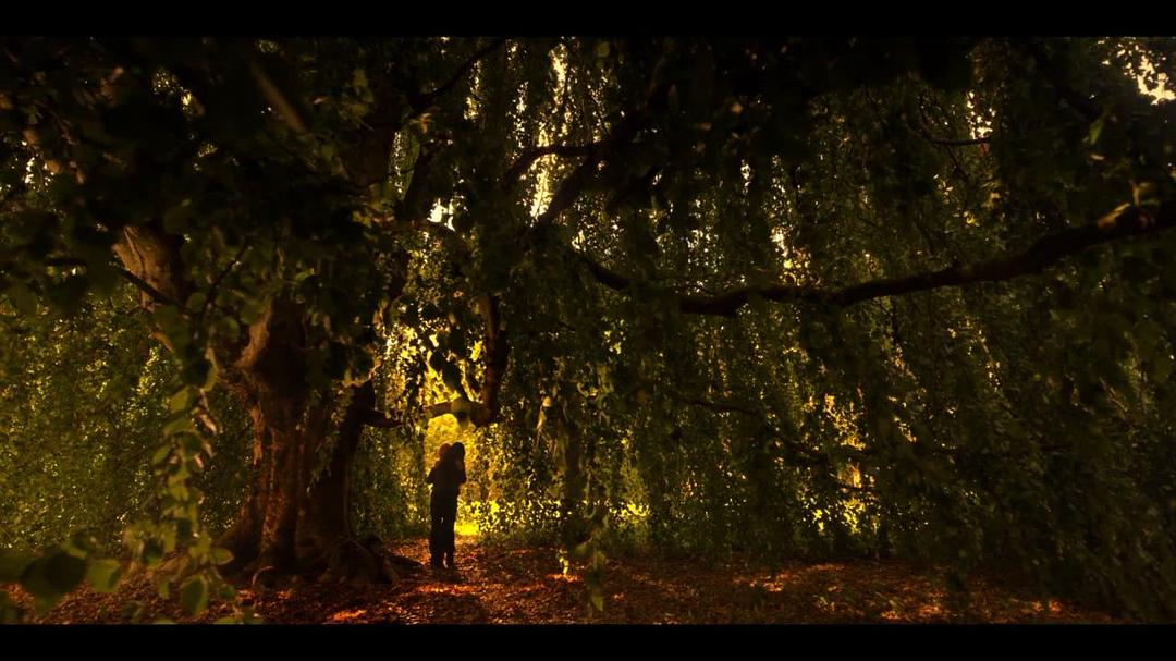 《女巫前线：塞勒姆要塞》剧照第60张图片