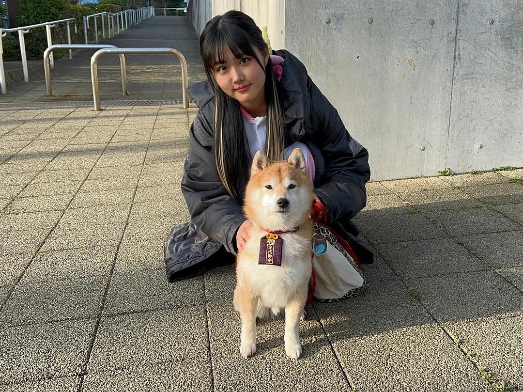 《难破MG5》剧照第42张图片