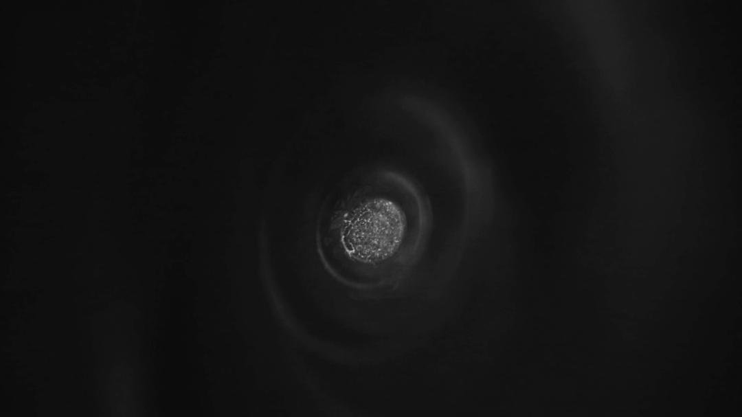 《谜之音》海报第43张图片