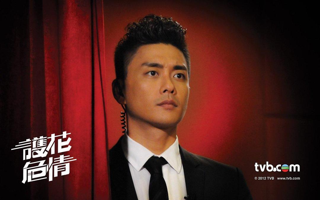 《护花危情》海报第8张图片 《护花危情》海报第8张图片