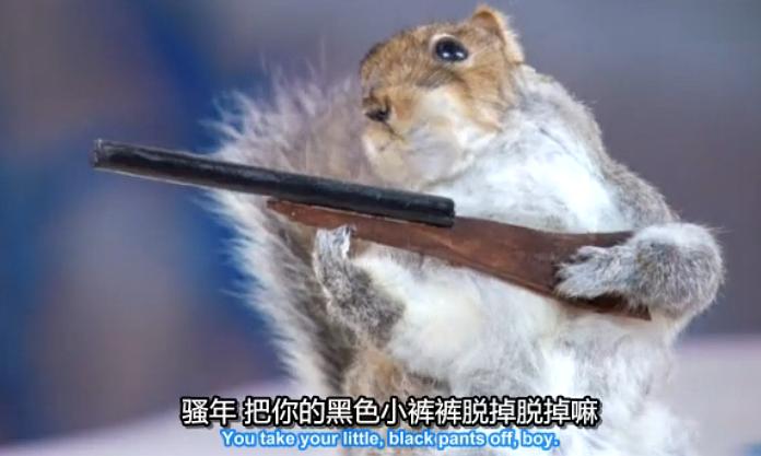 《诺妞的奢华喜剧第一季》剧照