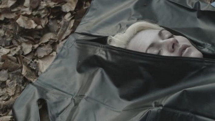 《妓女谋杀案》海报第4张图片