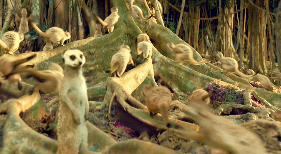 《少年派的奇幻漂流》剧照