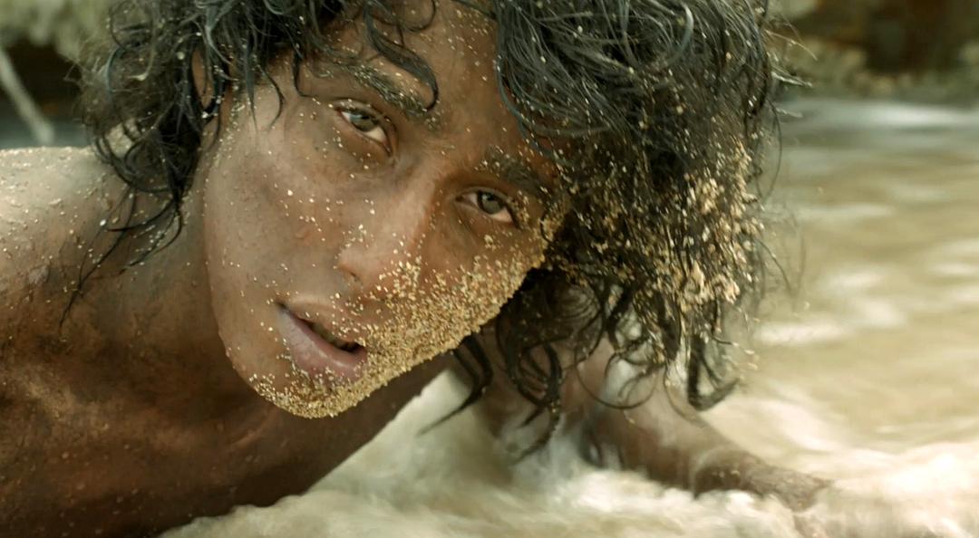 《少年派的奇幻漂流》海报第27张图片