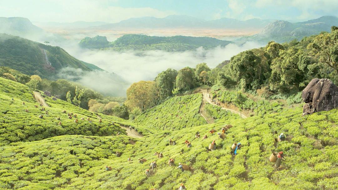 《少年派的奇幻漂流》剧照