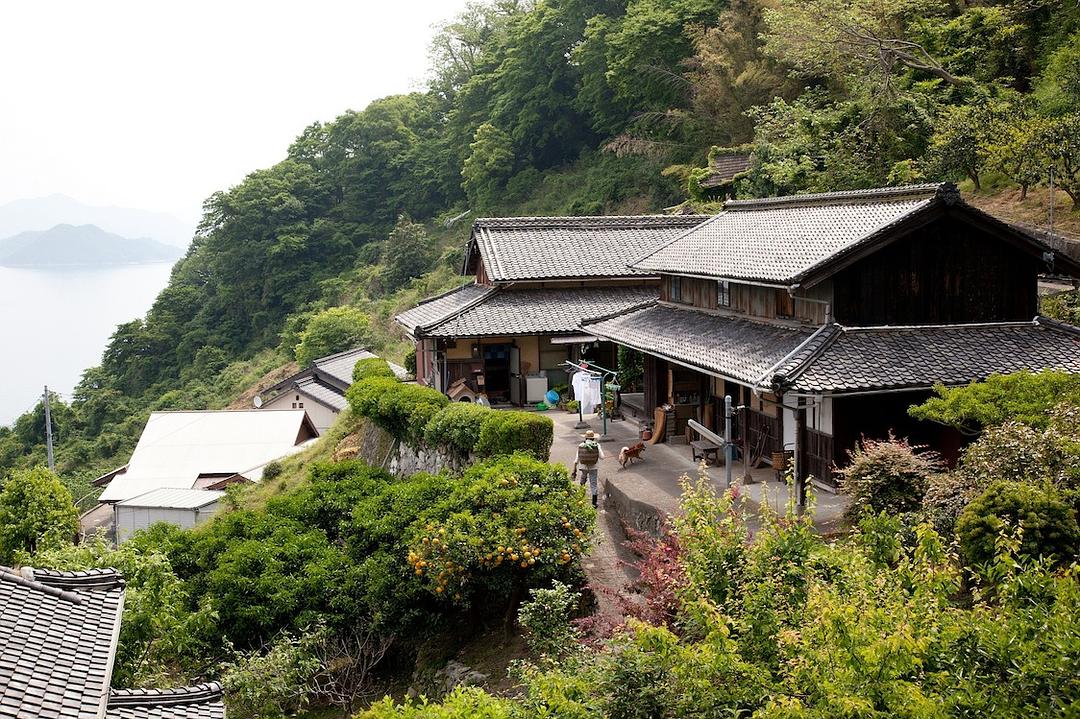 《东京家族》剧照