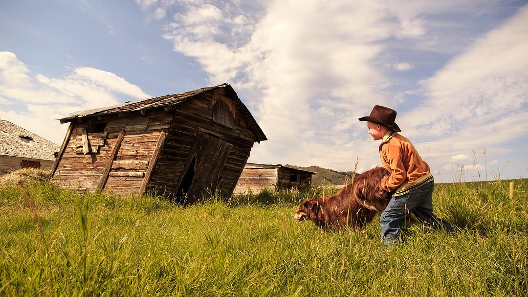 《少年斯派维的奇异旅行》海报第18张图片