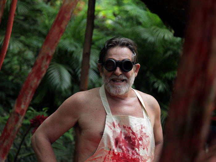 《我亲爱的甜橙树》海报