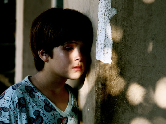 《我亲爱的甜橙树》海报