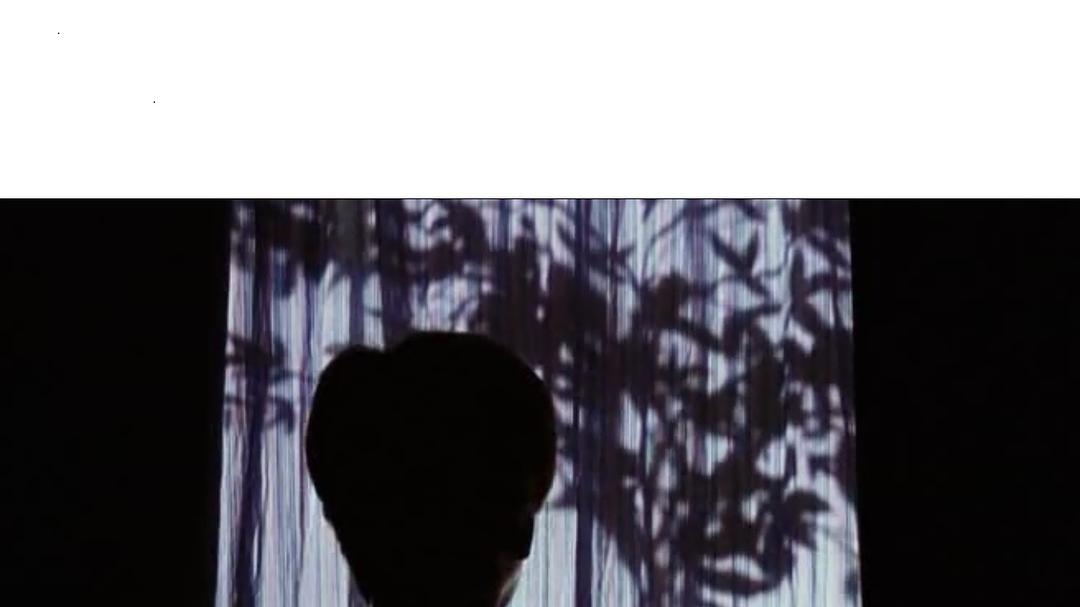 《我亲爱的甜橙树》海报第32张图片